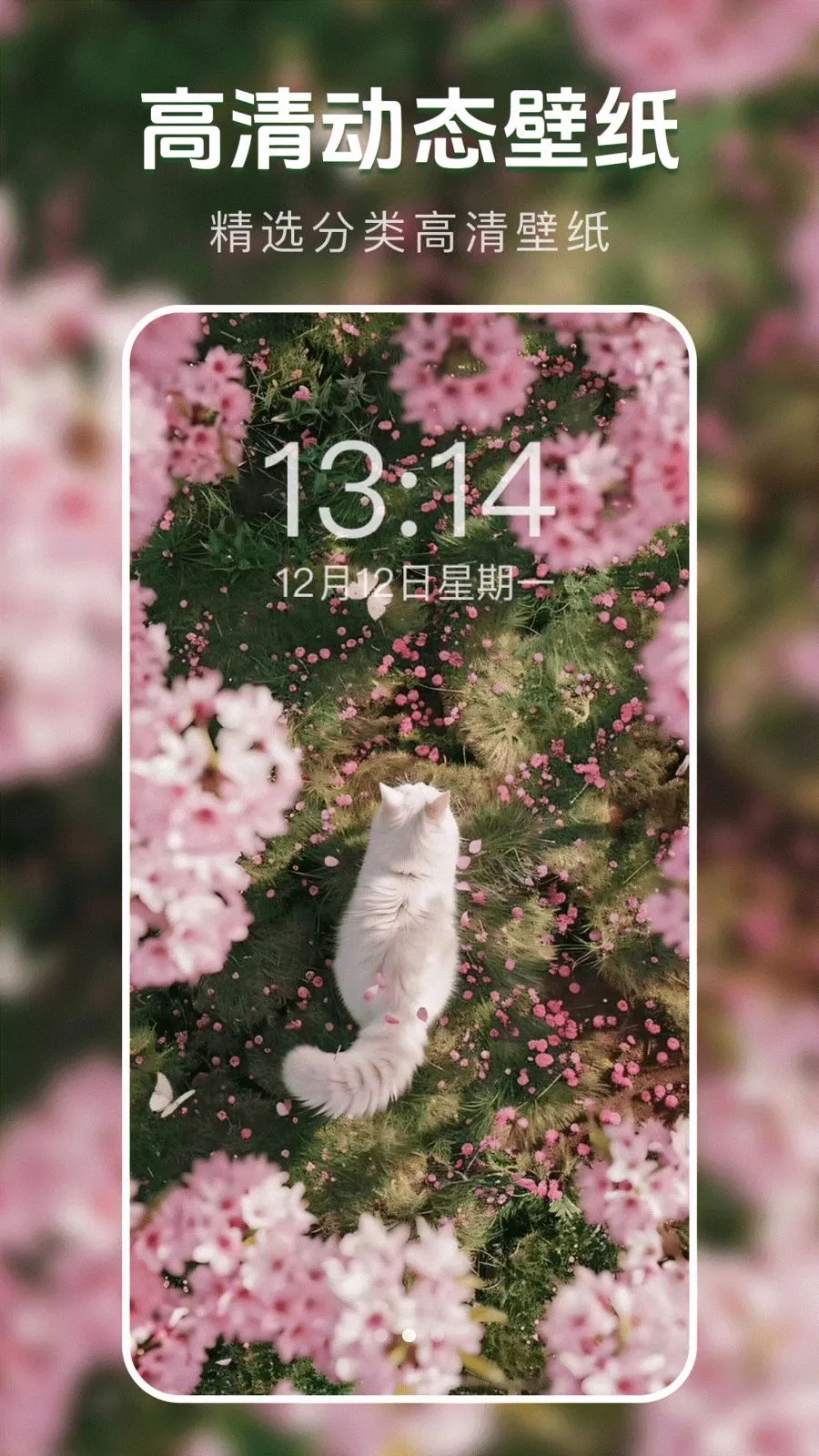 ��̬�����ֽ��2026���°汾v1.0.0 ��׿��