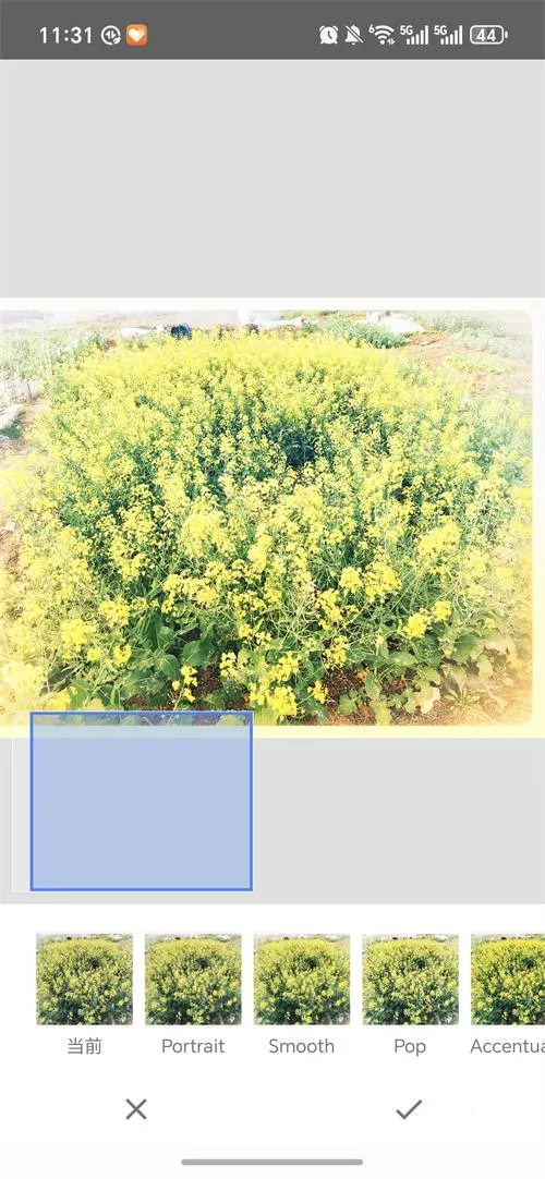BetterSeed�����ֻ���v2.22.0.633363672 �ٷ�����