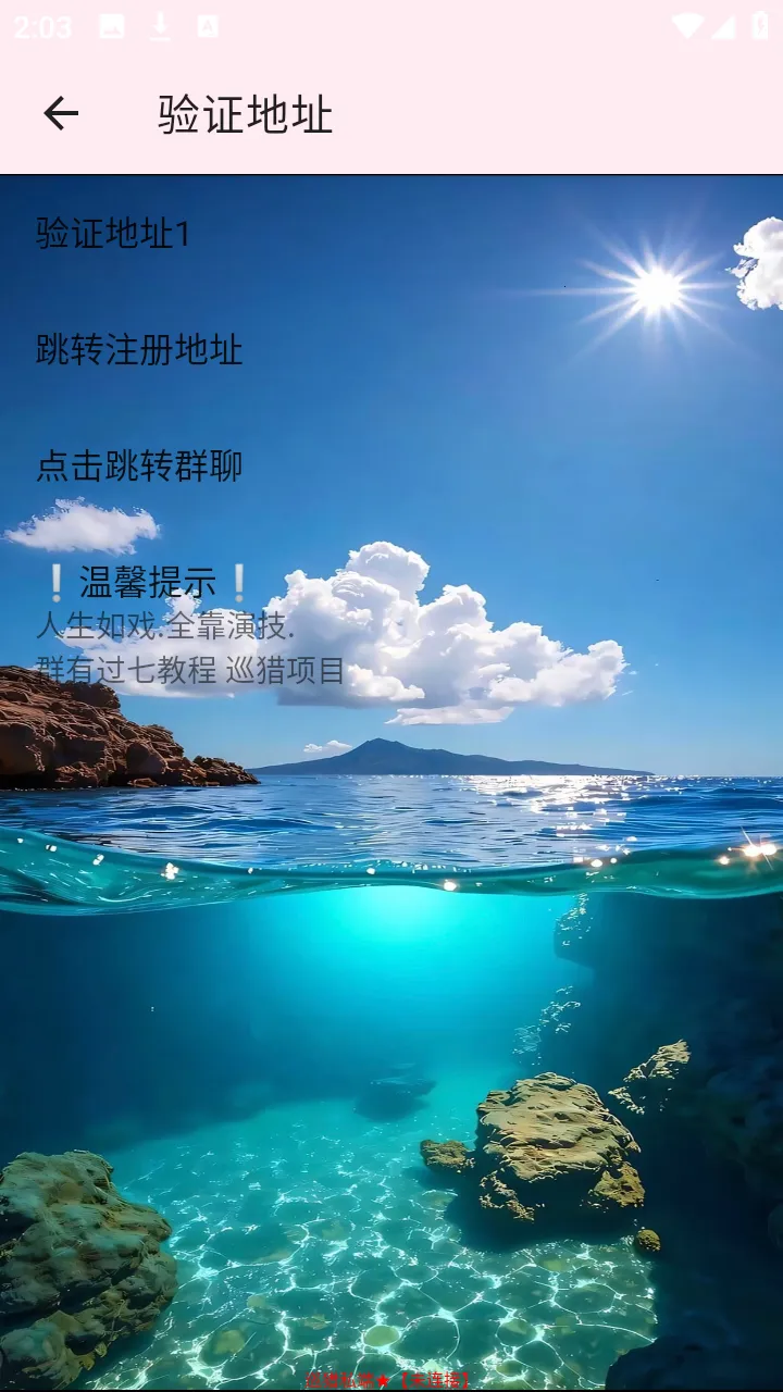 Ѳ��˽��(���θ�������)vѲ��˽�� ��׿��