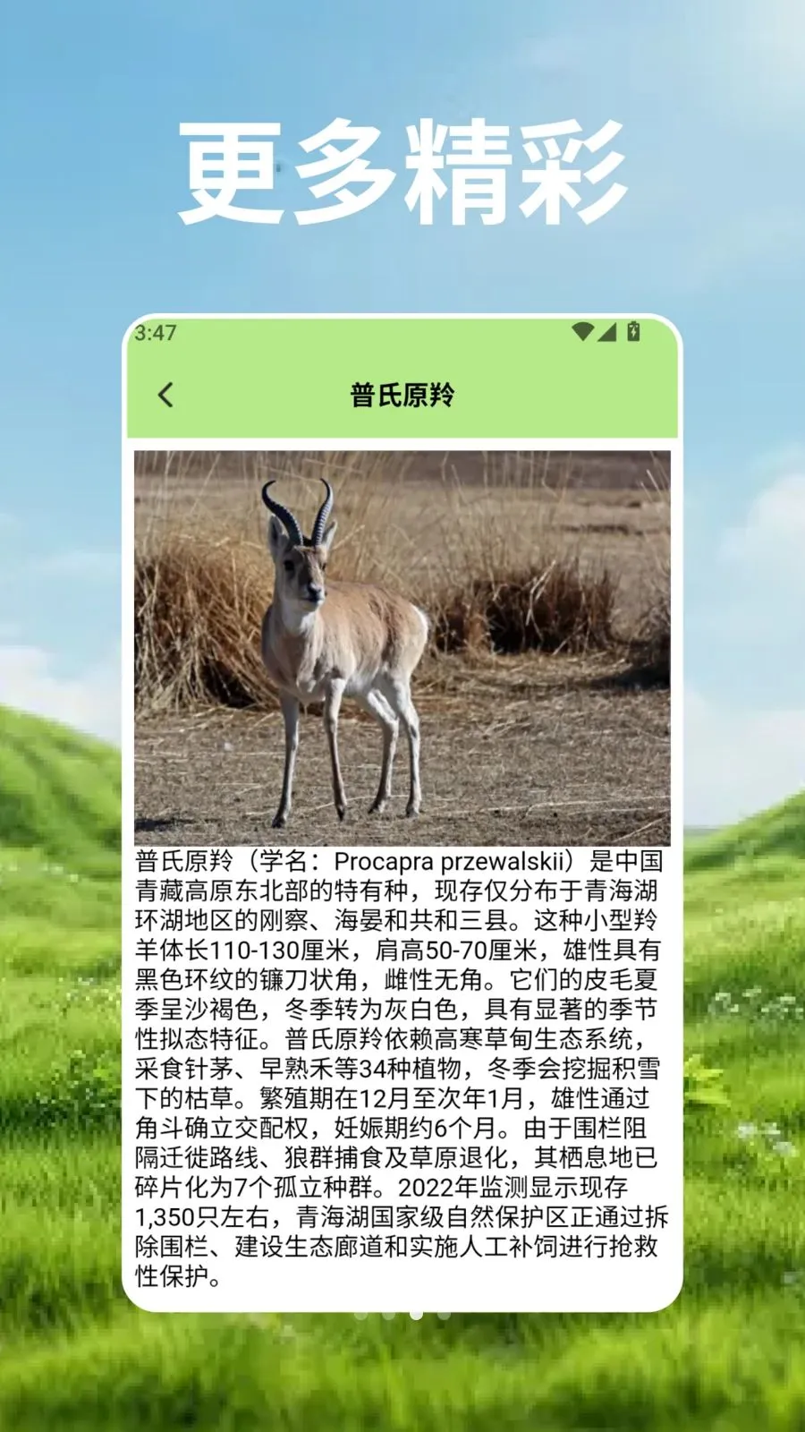 ��Ⱥ�Ŀ�ѧ��(����֪ʶӦ��)v2.3 �ֻ���