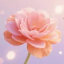 үү�İٲ��û���(�ʻ�����Ӧ��)v1.5 ��Ѱ�