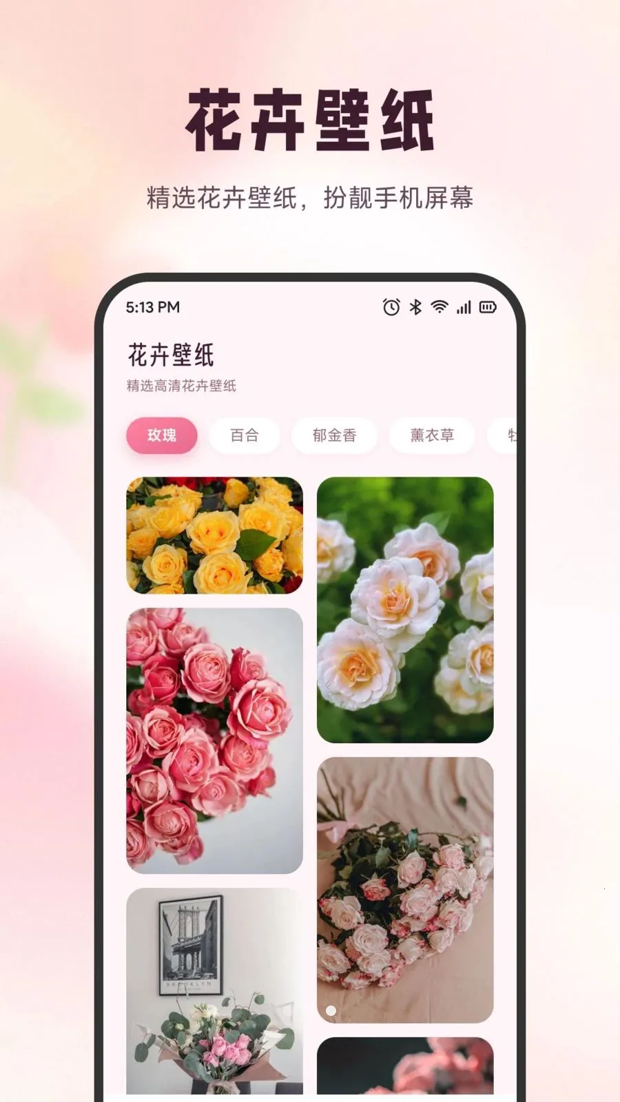 ѩ�ڻ���(ʶ����������)v1.6 ��Ѱ�