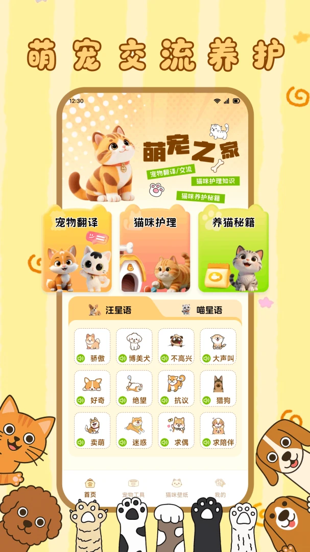 ����С��è2026�ٷ����°汾v1.1 �ٷ�����